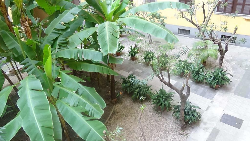 Bed And Breakfast Adduci'S House — Photos 1