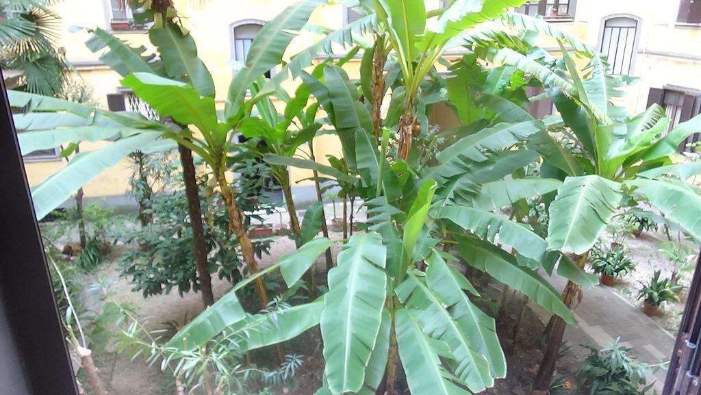 Bed And Breakfast Adduci'S House — Photos 2